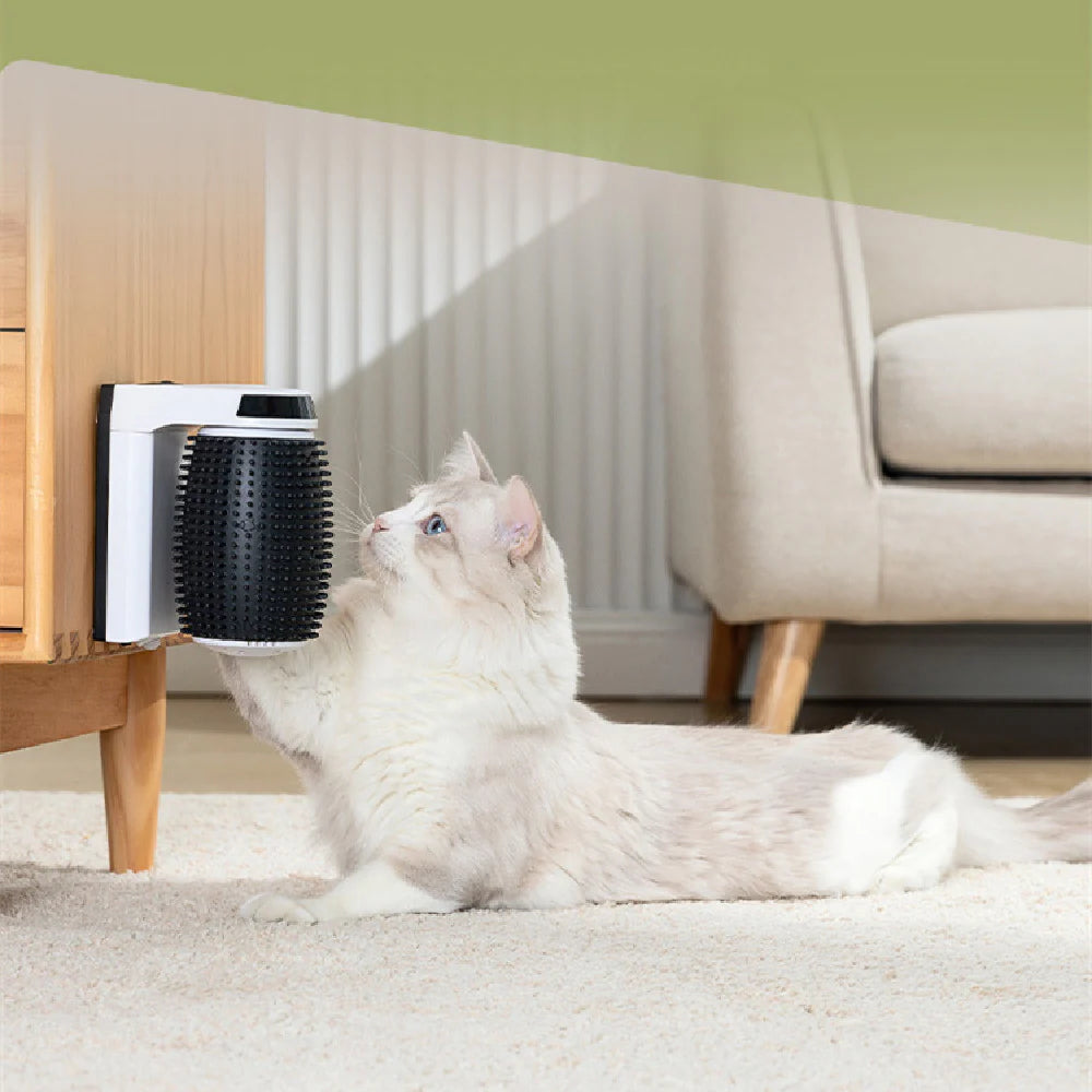 Pet Self-Cleaning Wall Brush Gentle Corner Scratcher Auto Grooming Tool