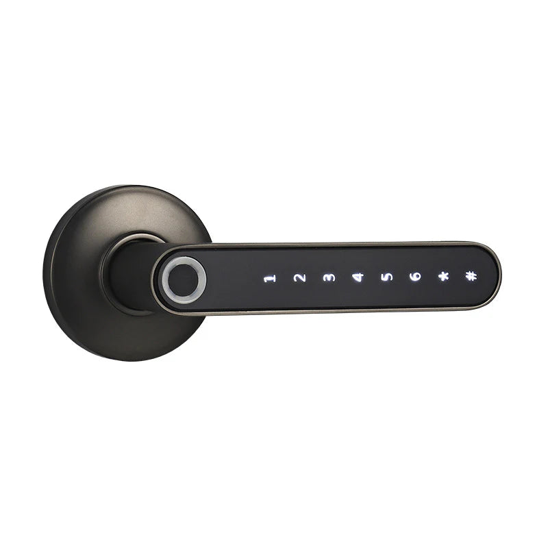 Intelligent Biometric Keyless Digital Door Lock Metal Secure Smart Handle for Residential Use